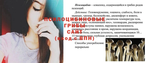 стафф Горняк